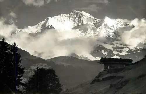 Switzerland postcard Die Jungfrau im Albendlicht