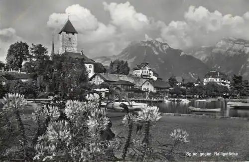 Switzerland postcard Spiez gegen Ralligstocke