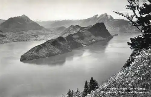Switzerland postcard Vitznau Burgenstock Pilatus und Stanserhorn