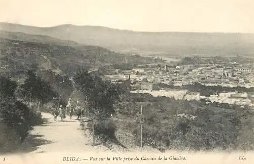 Postcard Algeria Blida chemin de la Glaciere