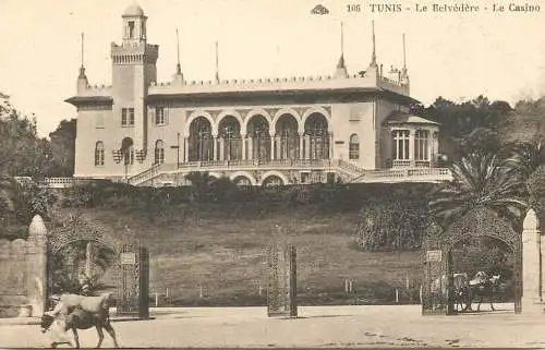 Postcard Tunisia Tunis le belvedere Le casino