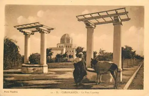 Postcard Morocco Casablanca le parc Lyautey donkey