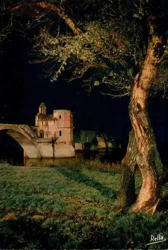 France Avignon (Vaucluse) Pont Saint-Benezet vue de nuit