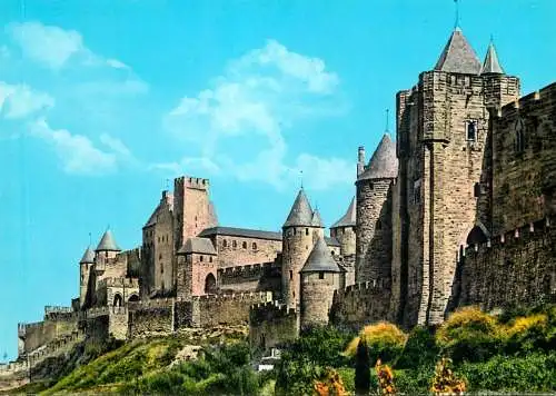 France La Cite de Carcassone vue generale de l'Ouest