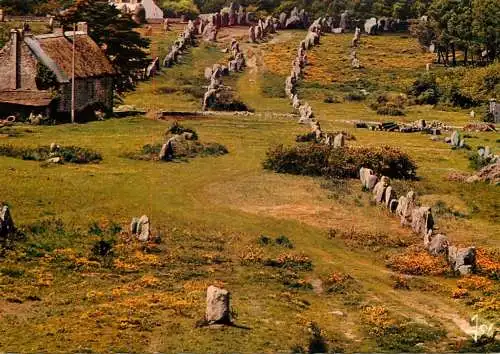 France Bretagne Carnac (Morbihan) Les alignements megalithiques du Menec