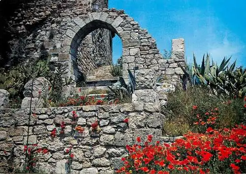 France Provence Medievale Les Arcs Parage (Var) Portique aux abords de la Tour Sarrasine