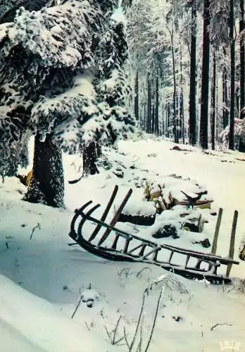 France Les Vosges sous la neige paysage hivernale