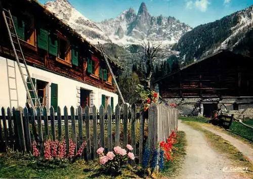 France Mont Blanc Aiguille du Dru Chalet Montagnard
