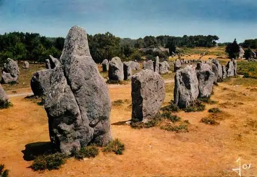 France Carnac (Morbihan)  Alignements du Menec