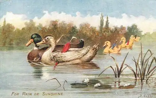 Humanized drawn ducks with umbrella farm friends Raphael Tuck series artist postcard