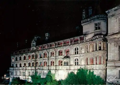 France Le Chateau de Blois vue de nuit