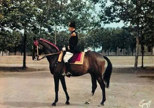France Saumur (Maine et Loire) Officier du Cadre Noir