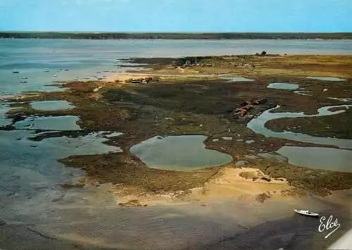 France Bassin d'Arcachon vue sur líle aux Oiseaux