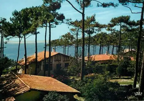 France Bassin d'Arcachon chalets dans les pins