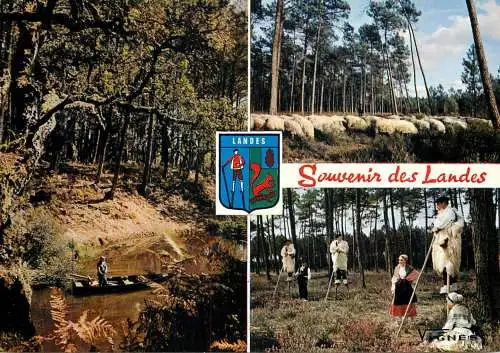 France souvenir des Landes multi view