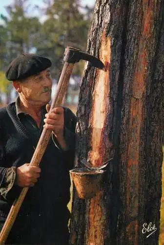 France La Lande - Le Resinier