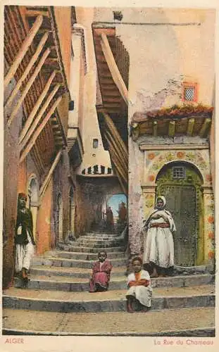 Africa postcard Algeria Algiers rue du Chameau ethnic