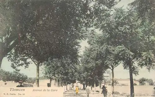Africa postcard Algeria Tlemcen avenue de la gare