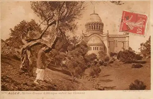 Africa postcard Algeria Algiers Notre Dame d'Afrique entre les Oliviers