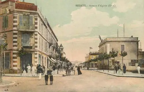 Africa postcard Tunisia Bizerte avenue d'Algerie