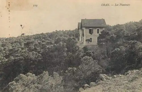 Africa postcard Algeria Oran les planteurs