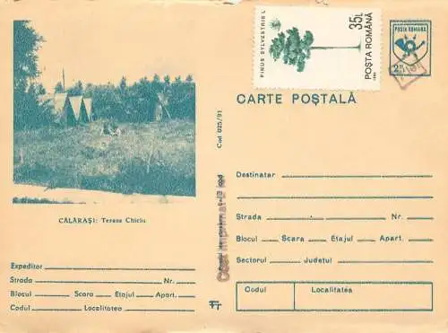 Romania postal stationery postcard Calarasi Chiciu terrace