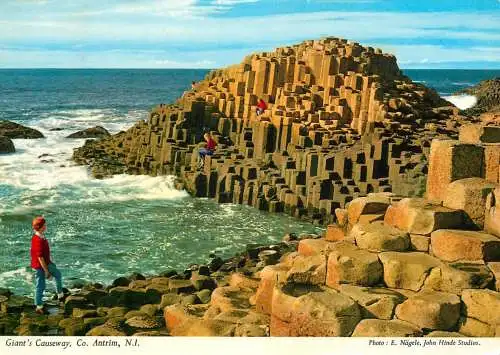 Postcard United Kingdom Ireland Antrim Giant Causeway