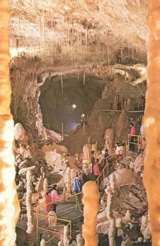 Postcard Romania Pestera Ursilor Chiscau Bihor
