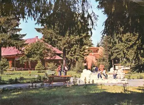 Postcard Romania Izvorul Muresului