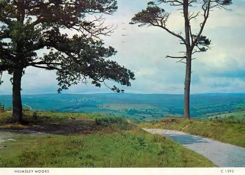 Postcard United Kingdom England helmsley moors