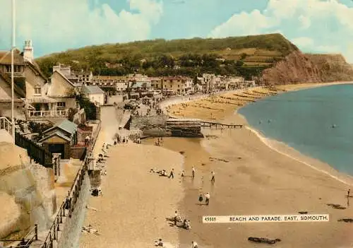 Postcard United Kingdom England Devon Sidmouth