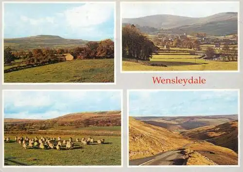 Postcard United Kingdom England Wensleydale