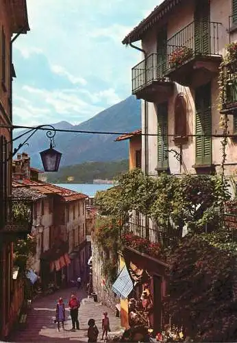 Postcard Italy Belagio Lago di Como Montee Serbelloni