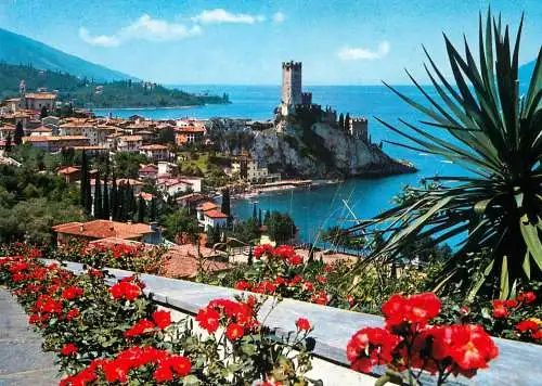 Postcard Italy Malcesine Lago di Garda