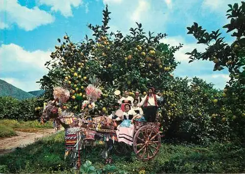 Postcard Italy Sicily folklore traditional costumes and orange tree
