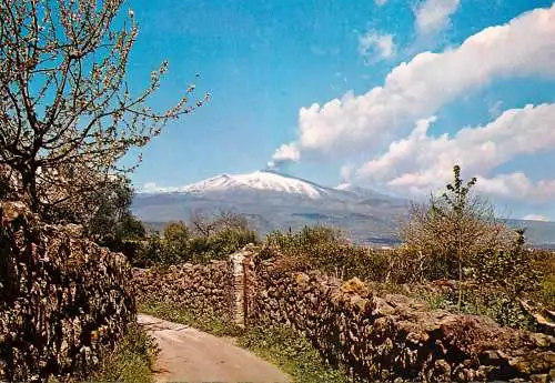 Postcard Italy Sicily Etna eruption 1964