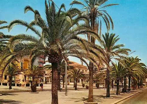 Postcard Italy Pozzallo remembrance square
