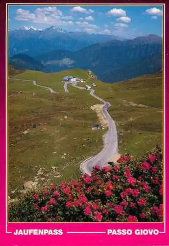 Postcard Italy Jaufenpass Passo Giovo