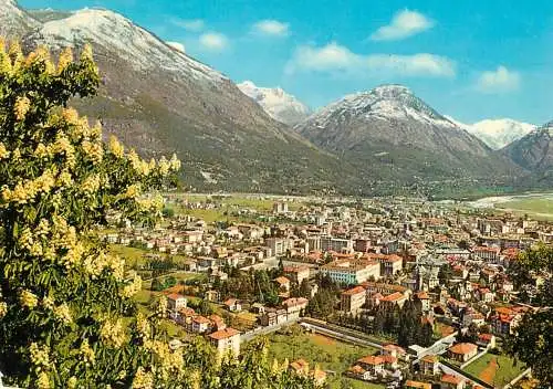 Postcard Italy Domodossola panorama
