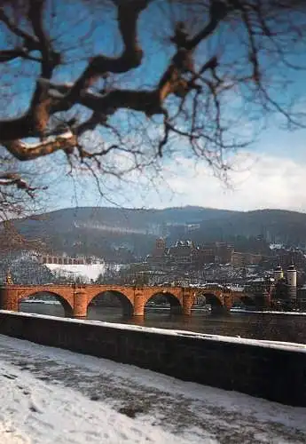 Postcard Germany Heidelberg Neckar mit blick auf schloss Heidelberg