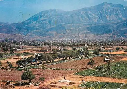 Postcard Greece Crete Lassithi plateau les moulins a vent