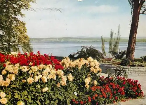 Postcard Germany Insel Mainau im Badensee