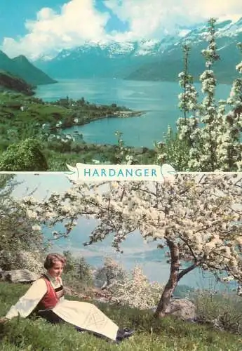 Postcard Norway Hardanger fjord 1969