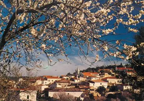 Postcard Portugal Algarve Paderne