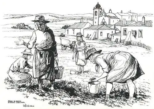 Postcard Portugal Algarve etch