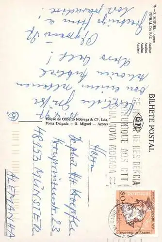 Postcard Portugal Acores Pinhal da Paz Azaleas