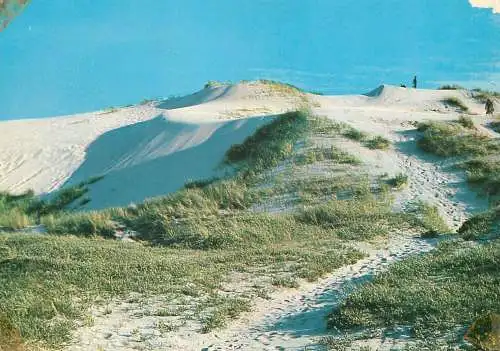 Postcard Denmark Skagen Raabjerg Mile sand hill