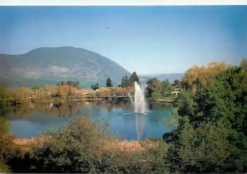 Postcard Canada British Columbia McGuire Salmon Arm