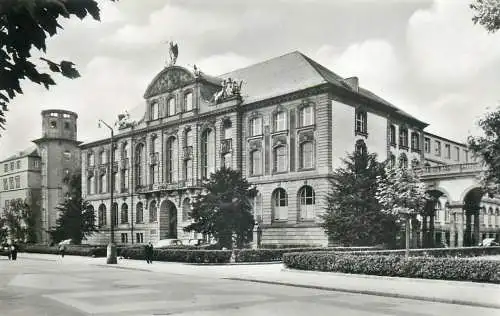 Germany Hesse Frankfurt a. Main Dr. Senckenberg Natur Museum