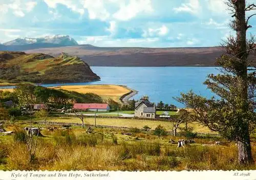 Postcard United Kingdom Scotland Sutherland Kyle of Tongue
